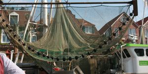 Schleppnetz - Hafen Neuharlingersiel